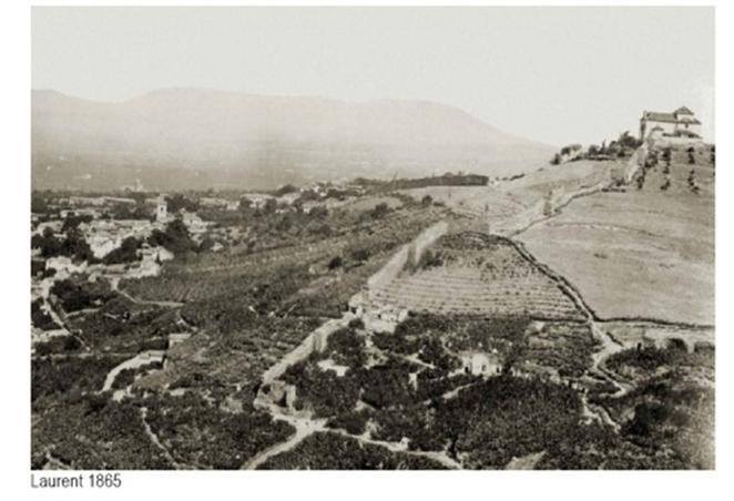 Cerro del Aceituno fotografiado por Laurent en 1865