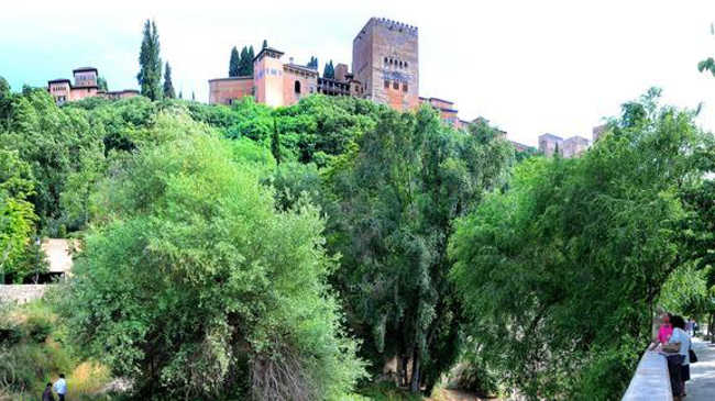 Alhambra ID 2014