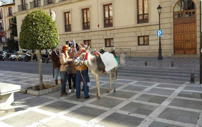 Despedidas de solteros con burro en Plaza Nueva