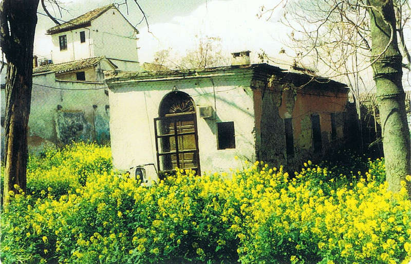 Casa Anonina Rodrigo C Gallo 1996b