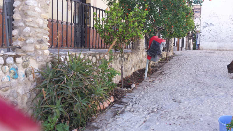 limpeza jardines Molino Corteza 20150516 a