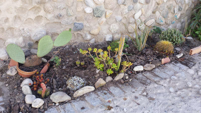 limpeza jardines Molino Corteza 20150516 d